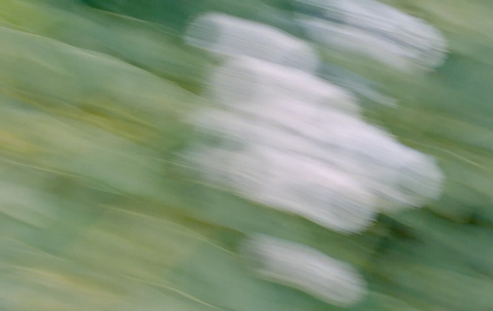 Cover image for the video of Keeps you in the loop