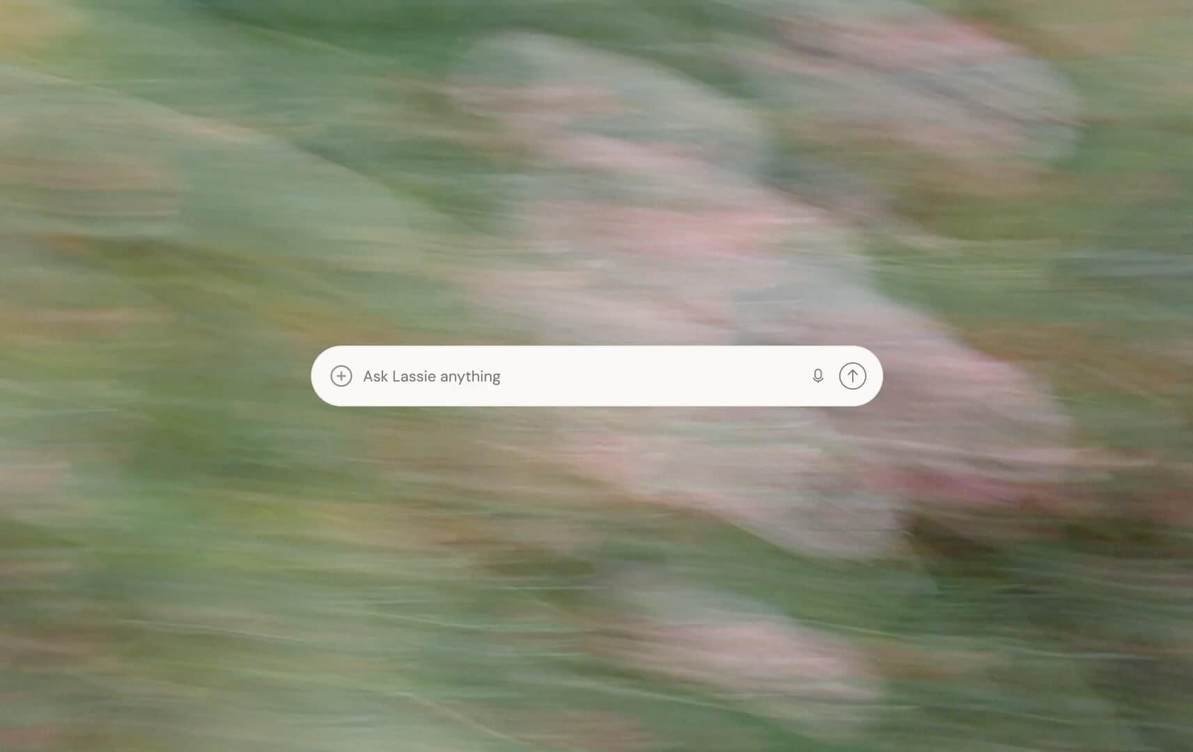 Cover image for the video of And answers your questions