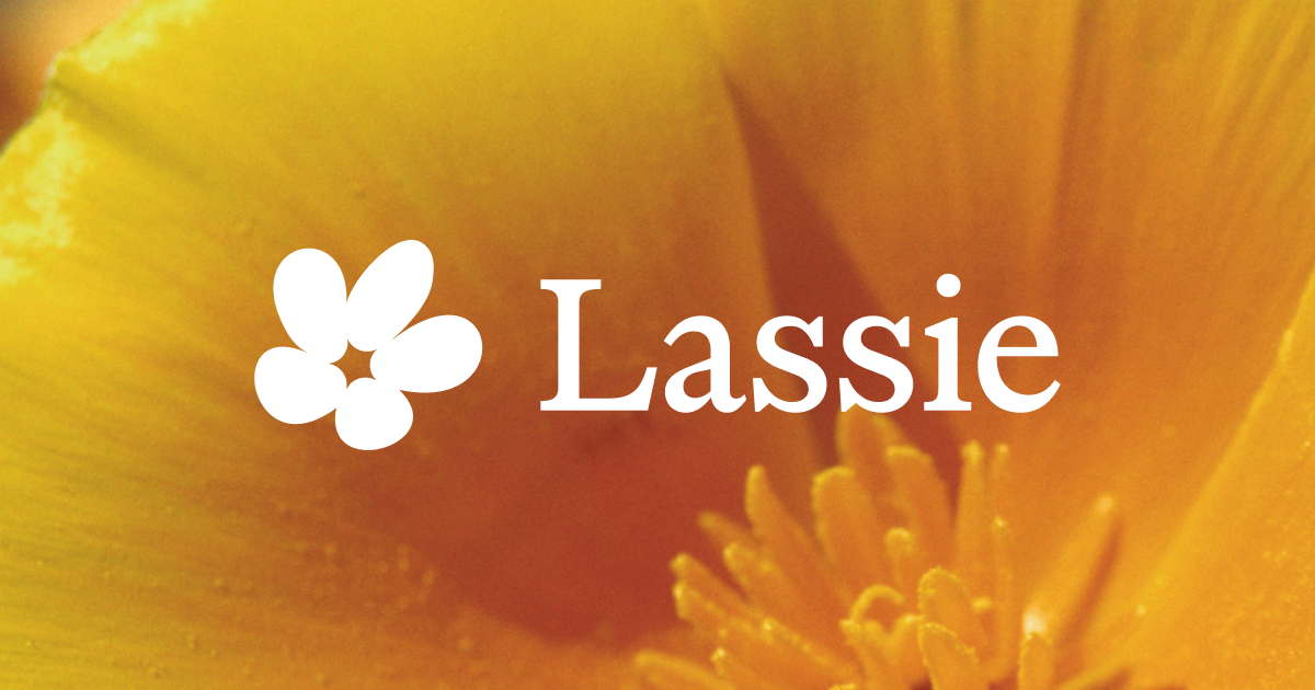 Lassie website preview